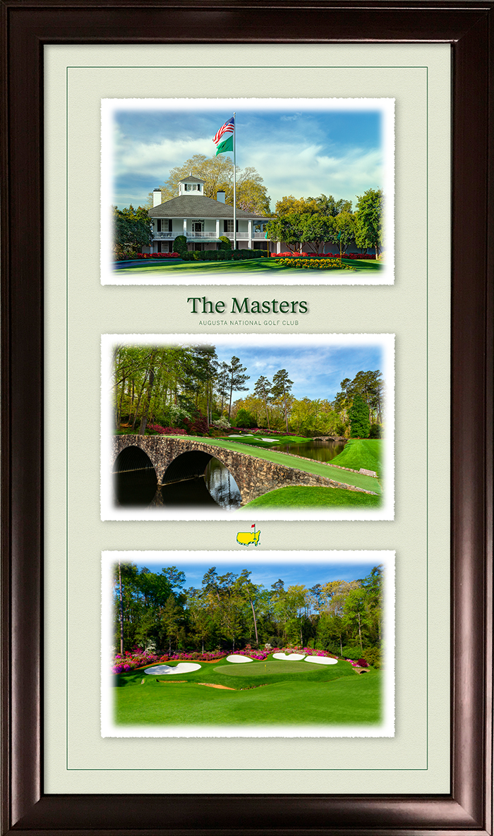The Masters - Framed Print