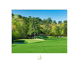 The 11th Hole – White Dogwood - Matted Version